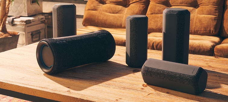Caracteristici pentru SRS-XE200 | Toate boxele wireless | Sony Romania