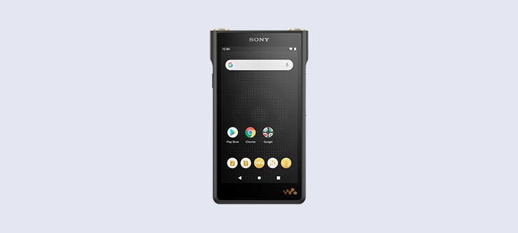 Caracteristici pentru NW-WM1AM2 | WALKMAN | Sony Romania