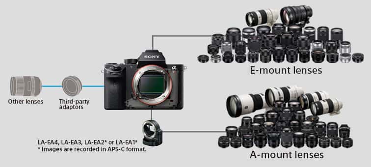 Caracteristici pentru ILCE-7RM2 | Camere foto | Sony Romania