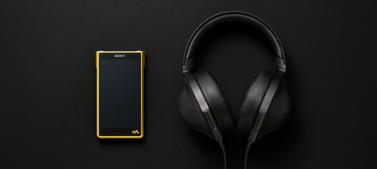 Caracteristici pentru NW-WM1ZM2 | WALKMAN | Sony Romania