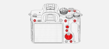 Caracteristici pentru ILCE-7RM3 | Camere foto | Sony Romania