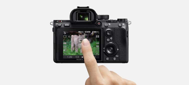 Caracteristici pentru ILCE-7RM3 | Camere foto | Sony Romania