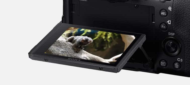 Caracteristici pentru DSC-RX10M4 | Camere foto | Sony Romania
