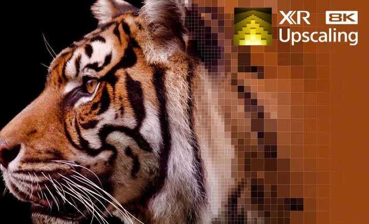https://www.sony.ro/image/cb4be1177499bc111653f4dd0062ca8a?fmt=png-alpha&wid=720