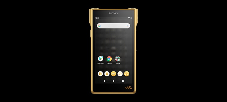 Caracteristici pentru NW-WM1ZM2 | WALKMAN | Sony Romania