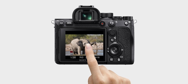 Caracteristici pentru ILCE-7RM4 | Camere foto | Sony Romania